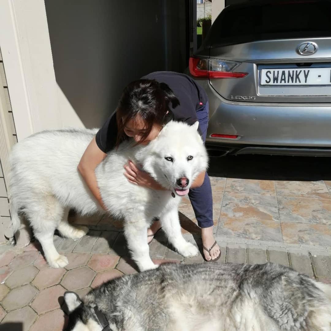 Jojo'S Bnb Mossel Bay Dış mekan fotoğraf