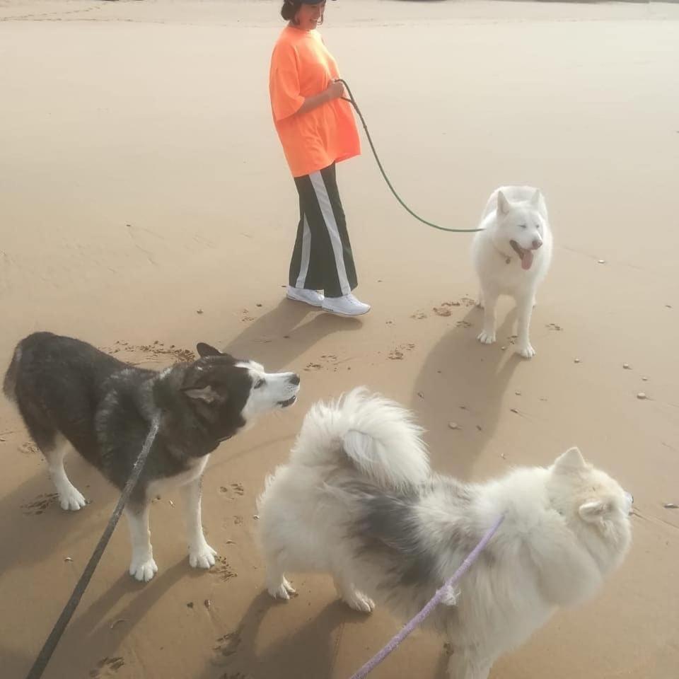 Jojo'S Bnb Mossel Bay Dış mekan fotoğraf