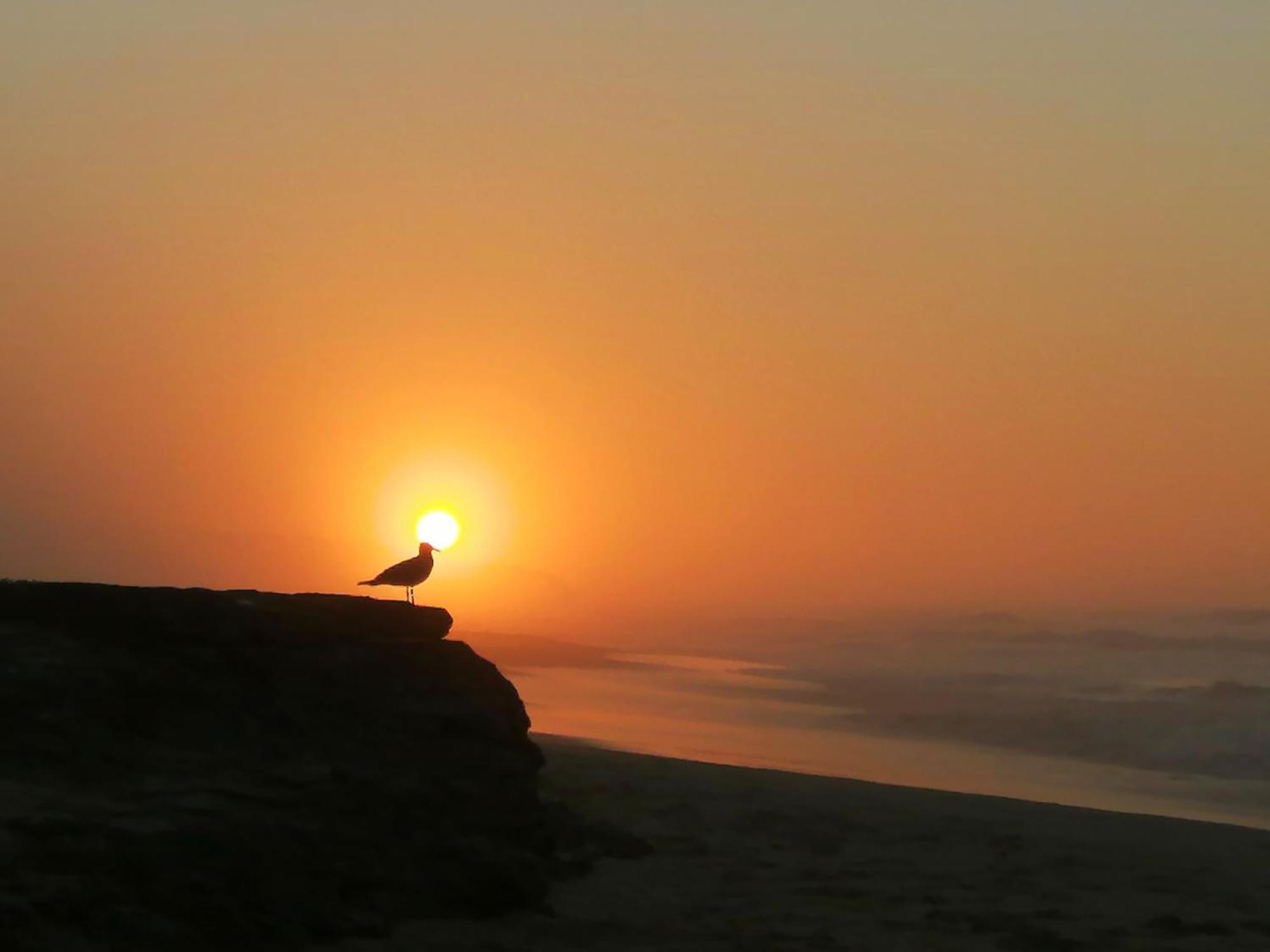 Jojo'S Bnb Mossel Bay Dış mekan fotoğraf