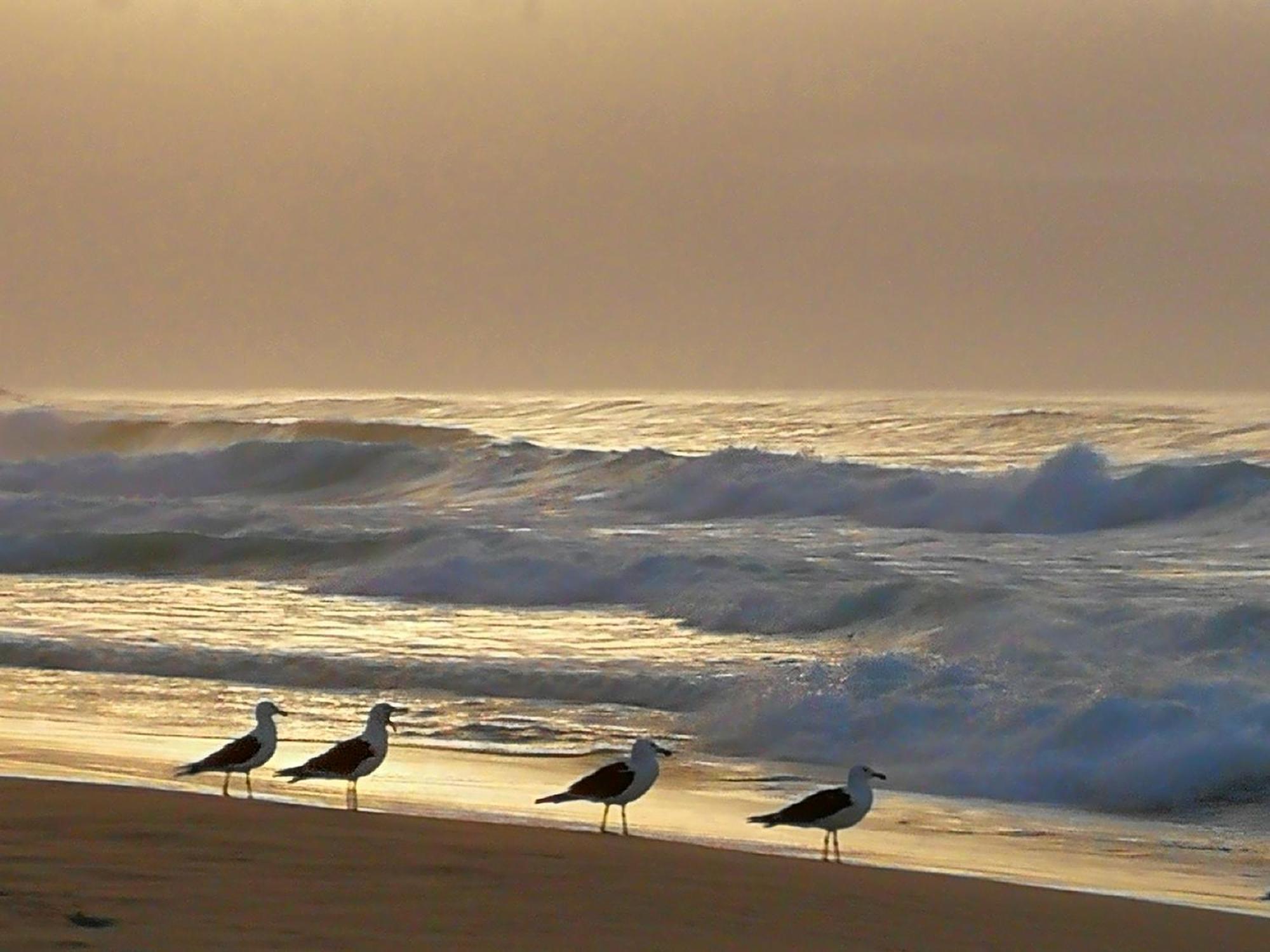 Jojo'S Bnb Mossel Bay Dış mekan fotoğraf